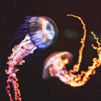 DelilahS55's profile picture. 