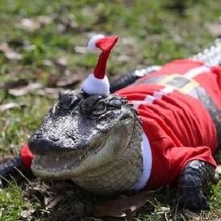 We are a team of Security Researchers. This is our ONLY twitter! #CrocodileMafia