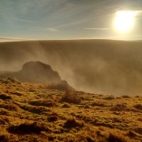 Neil Mitchelmore (@neilmitchelmore) 's Twitter Profile