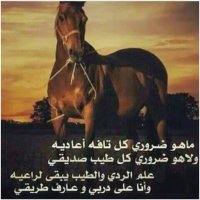 صمتي لغتي (@qqee1400) 's Twitter Profile Photo