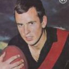 WindyHillTurf's profile picture. 