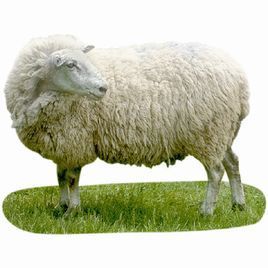 izumiotsu_osaka's profile picture. 泉大津市(大阪府)コミュニティ。
泉大津市は、大阪府の南部に位置する場所にあります。
泉大津市の市役所・商工会議所の更新情報、泉大津市に関するニュースを自動発信しています。
泉大津のハッシュタグ：#izumiotsu