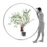 BIONICFESTIVAL's profile picture. BIONIC FESTIVAL - DANZA BIONICA / BIONIC DANCE  
https://t.co/XwK2d9l63r