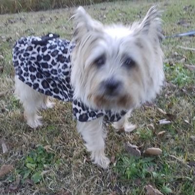 XDd1p06HpacIbxt's profile picture. ８０歳の青年です