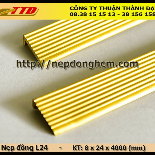 dinhduytruong61's profile picture. nepdongthau