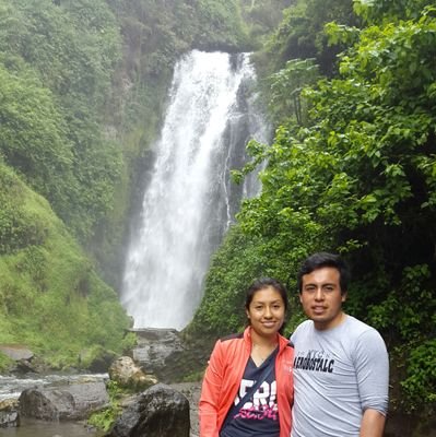 FranElectronik's profile picture. 