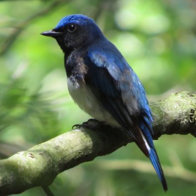 w_city_nourin's profile picture. 農業情報、水産業情報はじめ、和歌山市農林水産課の関連するイベント情報や各種案内について発信していきます。道の駅四季の郷公園、和歌山市森林公園
なお、リプライ(返信)には一切応じません。
また、タイムライン内に表示される返信については関知しませんのでご了承ください。