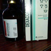 محمد شراب (@hmdanhamood12) Twitter profile photo