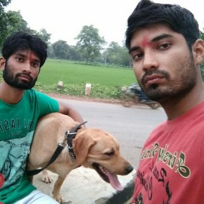 Ppandey89's profile picture. Mechanical Engineer