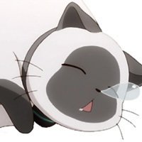てるとく (@kurotonn) 's Twitter Profile