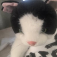 ゆー (@doq006) 's Twitter Profile
