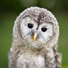 ms_h_k's profile picture. Proud Mum of two! 🥰🥰