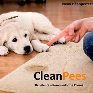 Elaboramos productos para el cuidado de las mascotas y su bien estar en el hogar. https://t.co/TErpE5Z9Vh @CleanPees