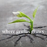 Where Genius Grows(@GeniusGrows) 's Twitter Profile Photo