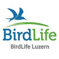 BirdLife Luzern(@BirdLifeLU) 's Twitter Profile Photo