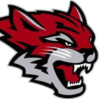 St. Joseph High School 328 Vine St Hammonton, NJ 08037 609-561-8700 Be a Champion. Be a Wildcat!
