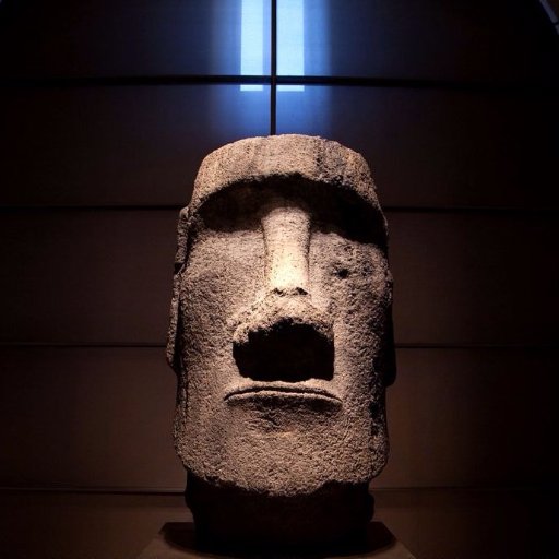 RubenBosch50's profile picture. 