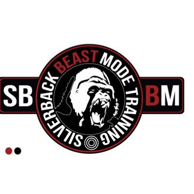 HYBRID•ATHLETIC•DevelopMENtal•TRAINING #SBBM #HungrybutHumble #LOE #FOA #TTP 🦍