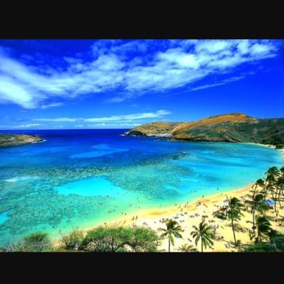 IvonneMVen's profile picture. Ivonne M