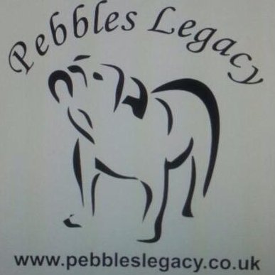 We are a small dog rescue set up to raise funds for homeless and abandoned dogs.