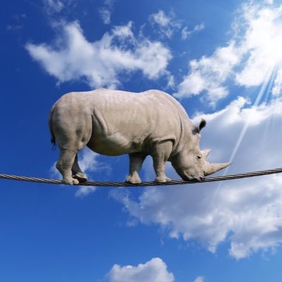 squirrella13's profile picture. | I mean I could, but why would I want to? | your challenge. poetry. your bucket list. JUICY TALES OF REGRETS/BEGINNINGS