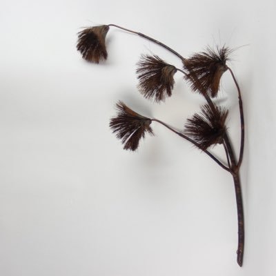 MaryJHachey's profile picture. 