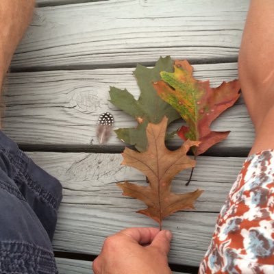 nastygirlUSA's profile picture. Full of wonder and optimism. In awe of this beautiful planet. Believes elected office is an honorable calling for those there to serve the public.