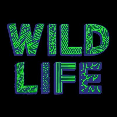 @Disclosure & @RudimentalUK present to you… WILD LIFE FESTIVAL!