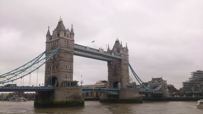 AlinaRadek's profile picture. The masters has failed more times than the beginner has even tied...