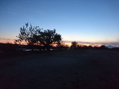 CowardCowIsland's profile picture. 