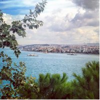 ferda paksoy (@ferdapaksoy) 's Twitter Profile