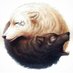 Mundo psicodélico (@mun_psicodelico) Twitter profile photo Mundo psicodélico (@mun_psicodelico) Twitter profile photo