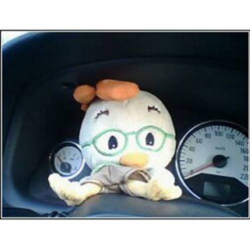 pollo_veh's profile picture. ..... no soy un completo inutil, almenos sirvo de MAL EJEMPLO....