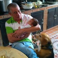 Prof. José J. Ferrer (@jferrer56) 's Twitter Profile