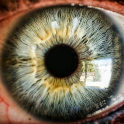 gisehaag's profile picture. mi carta natal dice que soy vapor

#WomanWhoCode