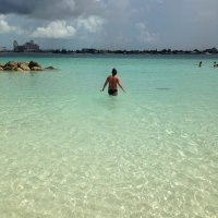 lauren opalewski (@l_opalewski) 's Twitter Profile