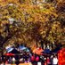 Stirling Market S.A. (@stirlingmktsa) Twitter profile photo Stirling Market S.A. (@stirlingmktsa) Twitter profile photo