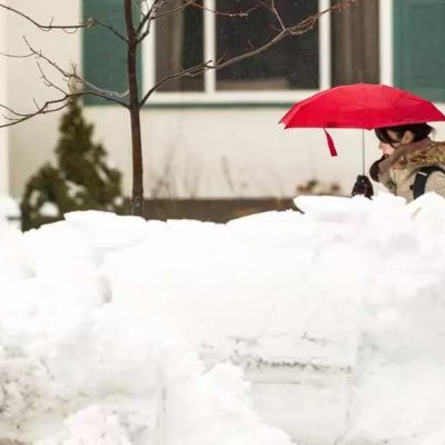 A big fan of Ottawa/ON - its politics, its history, its cultures, its economies, its sports teams, its beauty & much of everything else. But ... its weather?