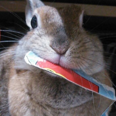 ジッちゃん(･ω･)さんのプロフィール画像