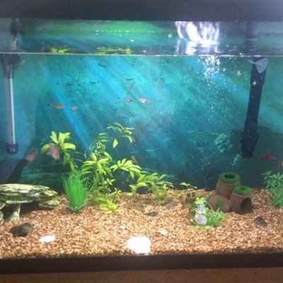 melindarocha88's profile picture. Canadian TV Music Gaming Pop Music Pop Music Pop Music TV Shows Music News