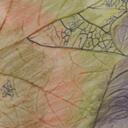 Peter Hadfield - @peterhadfield - Twitter