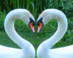 Join me in looking for beauty everywhere and seeing grace and blessings poured out on the world.