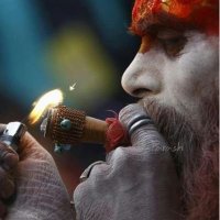 : (@circuit420) 's Twitter Profile