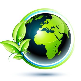 Netvibes66's profile picture. 