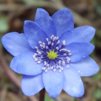 Katharina Hohlfeld (@karow7005) Twitter profile photo