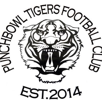 We are Punchbowl Tigers FC from Spalding Sunday Football League