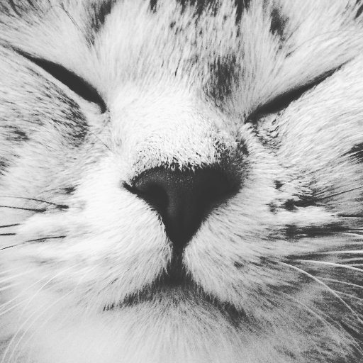 Knyaz017's profile picture. 