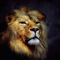 Mohamed nagy (@gedo____x) Twitter profile photo