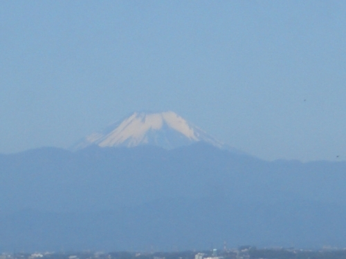 カラオケ大好き