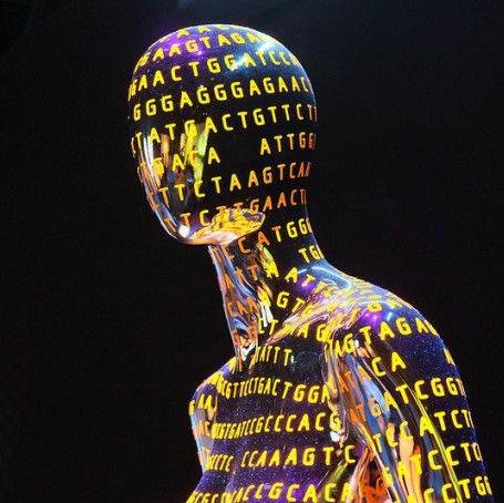 noelnamai's profile picture. God created the integers, all the rest is the work of man.